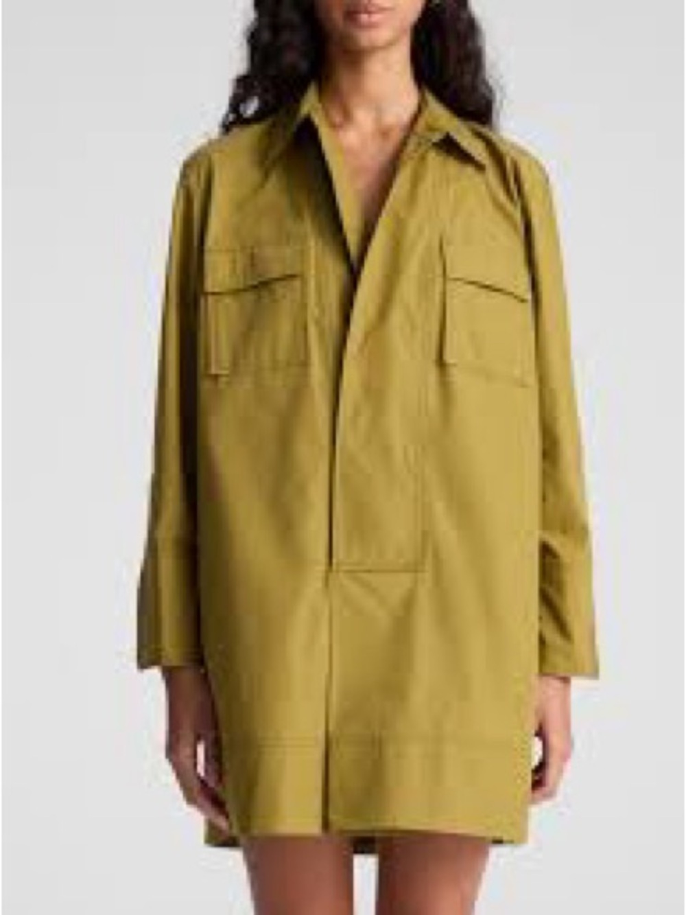 NWT A.L.C. “Jori” Poplin Utility Shirtdress in Hazel
